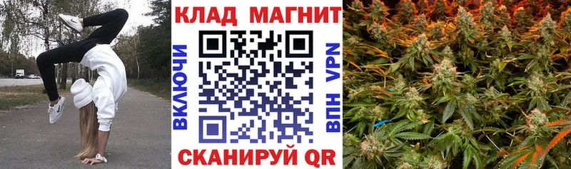Купить закладку ГАШИШ  A PVP  Галлюциногенные грибы  Кокаин  Меф  Горячеводский