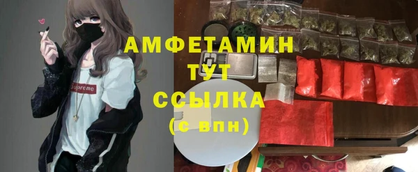 сатива Кинешма