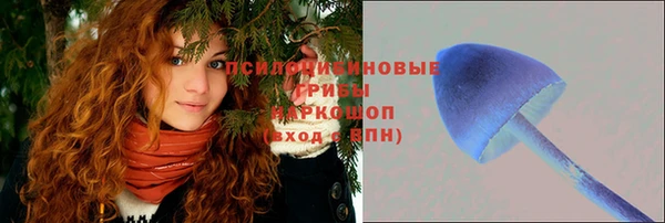 МДПВ Киренск