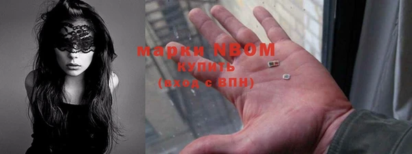 сатива Кинешма