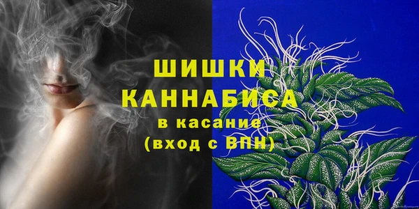 сатива Кинешма
