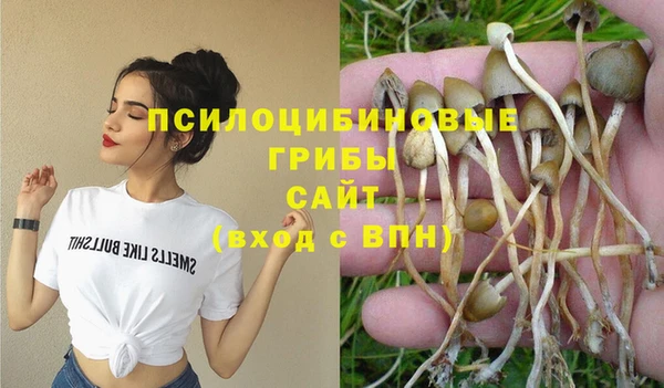 МДПВ Киренск