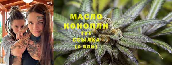 сатива Кинешма