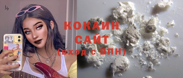 сатива Кинешма