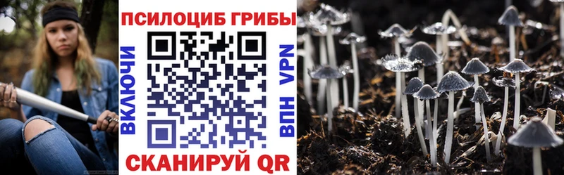 Галлюциногенные грибы Psilocybe  Купить  Горячеводский 